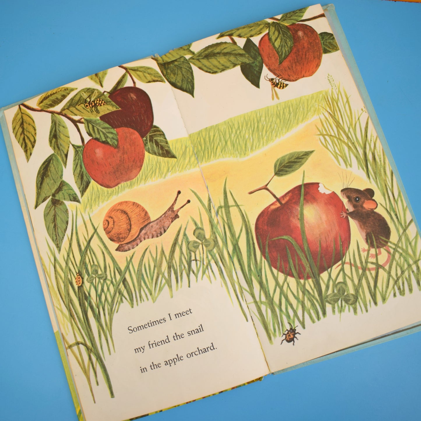 Vintage 1960s Books - I am A Fox / Mouse - Fab Illustrations by Pineapple Retro