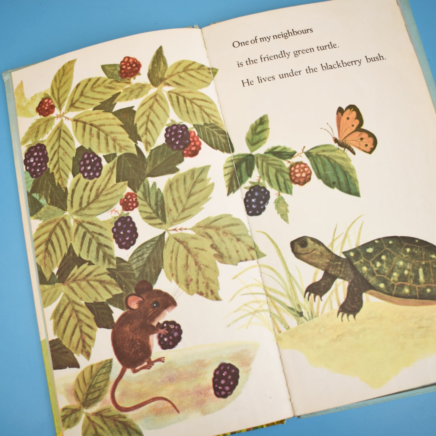 Vintage 1960s Books - I am A Fox / Mouse - Fab Illustrations by Pineapple Retro