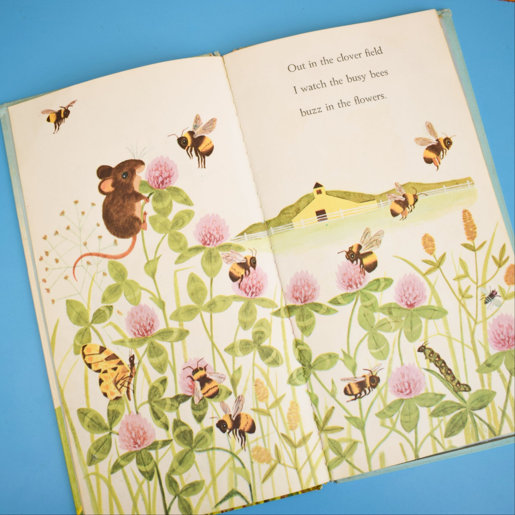 Vintage 1960s Books - I am A Fox / Mouse - Fab Illustrations by Pineapple Retro