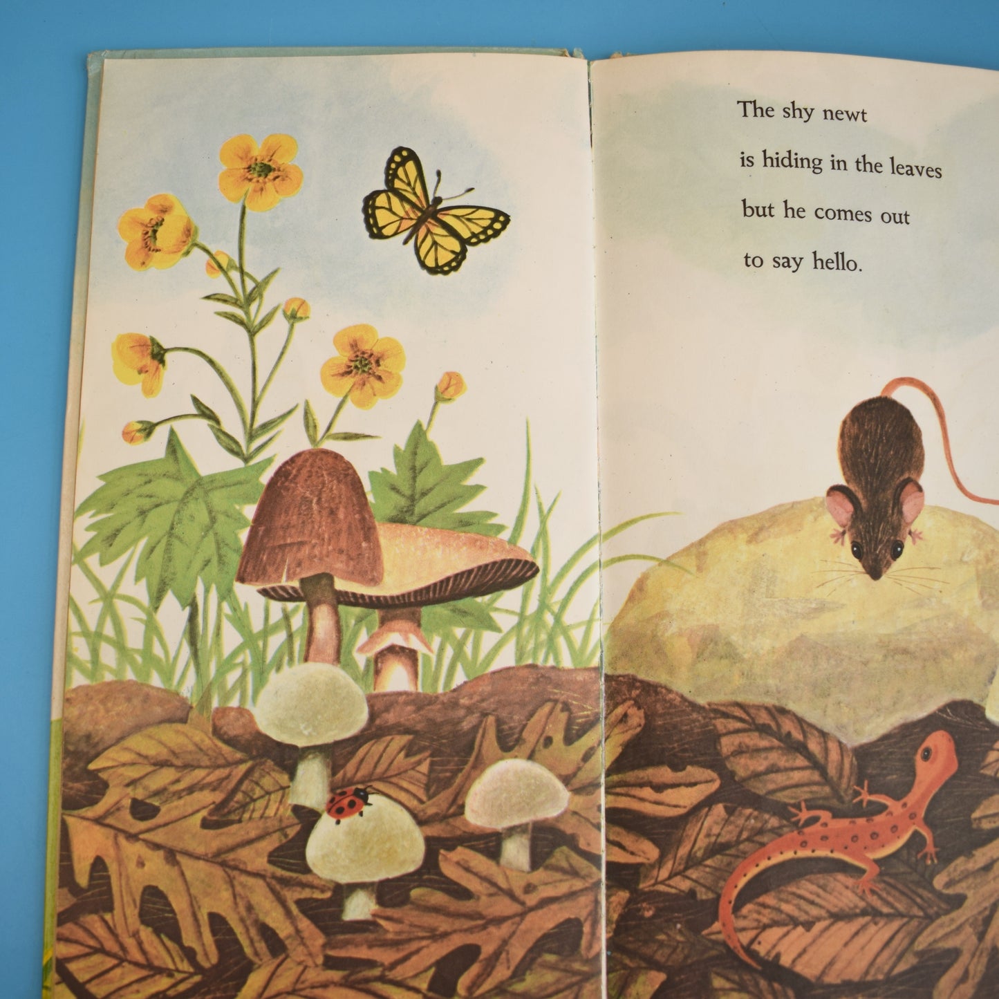 Vintage 1960s Books - I am A Fox / Mouse - Fab Illustrations by Pineapple Retro