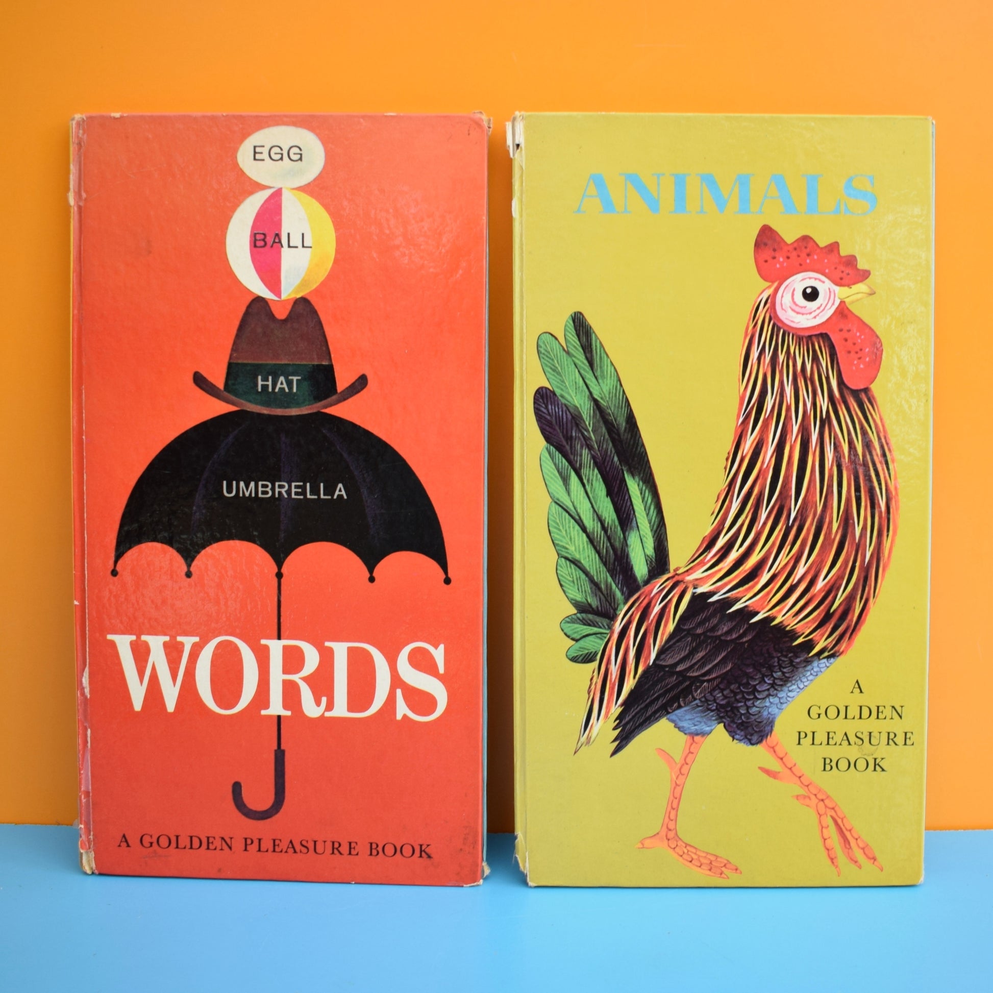 Vintage 1960s Book - Words / Animals - Fab Illustrations by Pineapple Retro