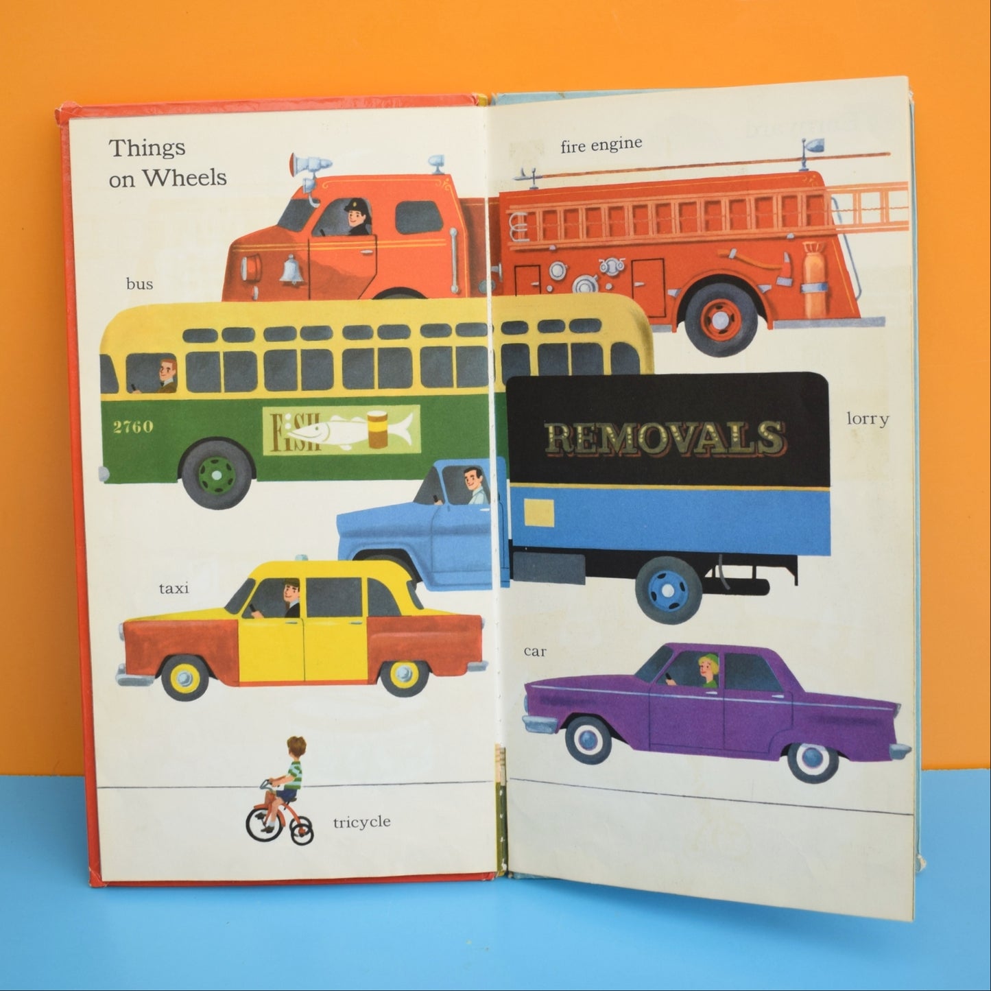 Vintage 1960s Book - Words / Animals - Fab Illustrations by Pineapple Retro
