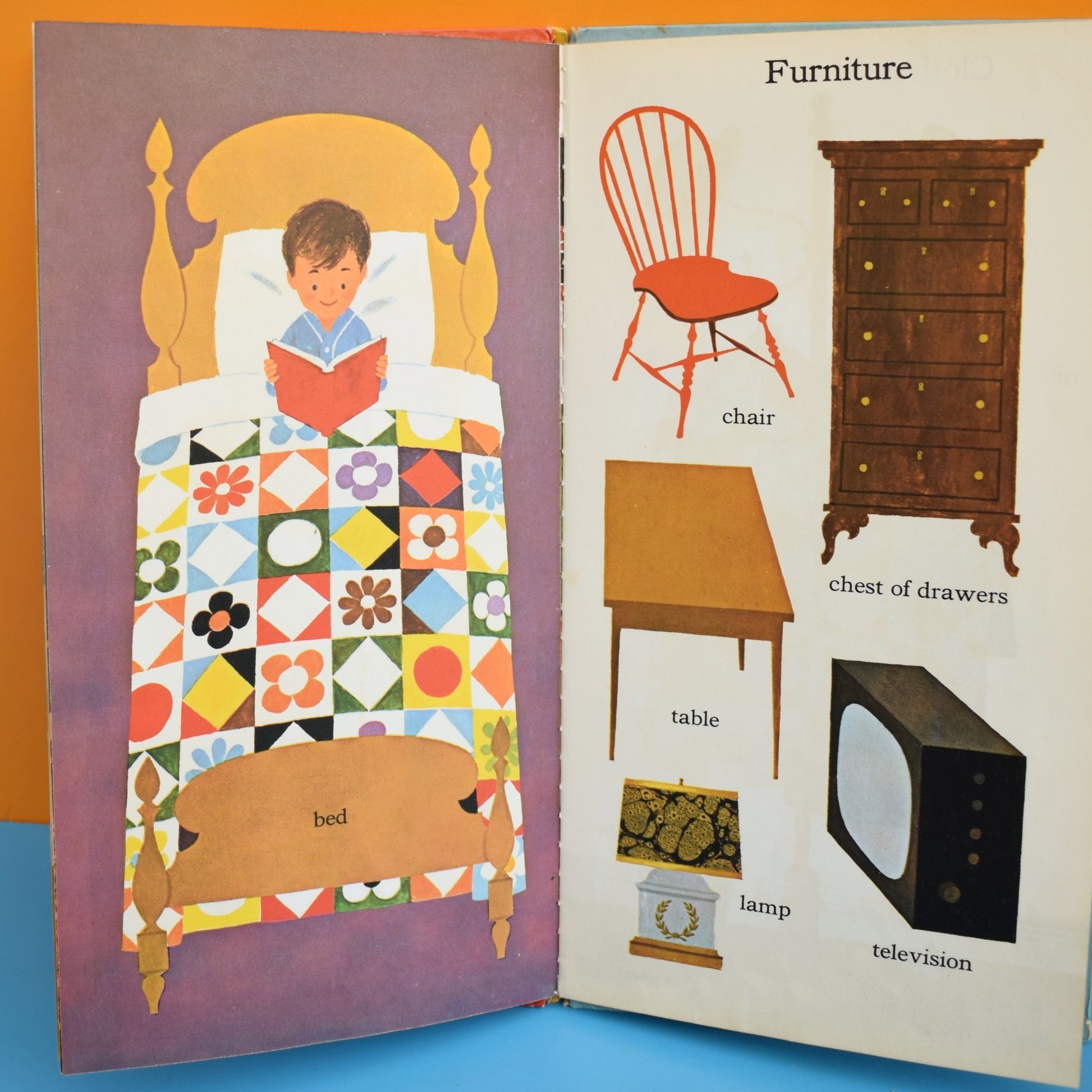 Vintage 1960s Book - Words / Animals - Fab Illustrations by Pineapple Retro