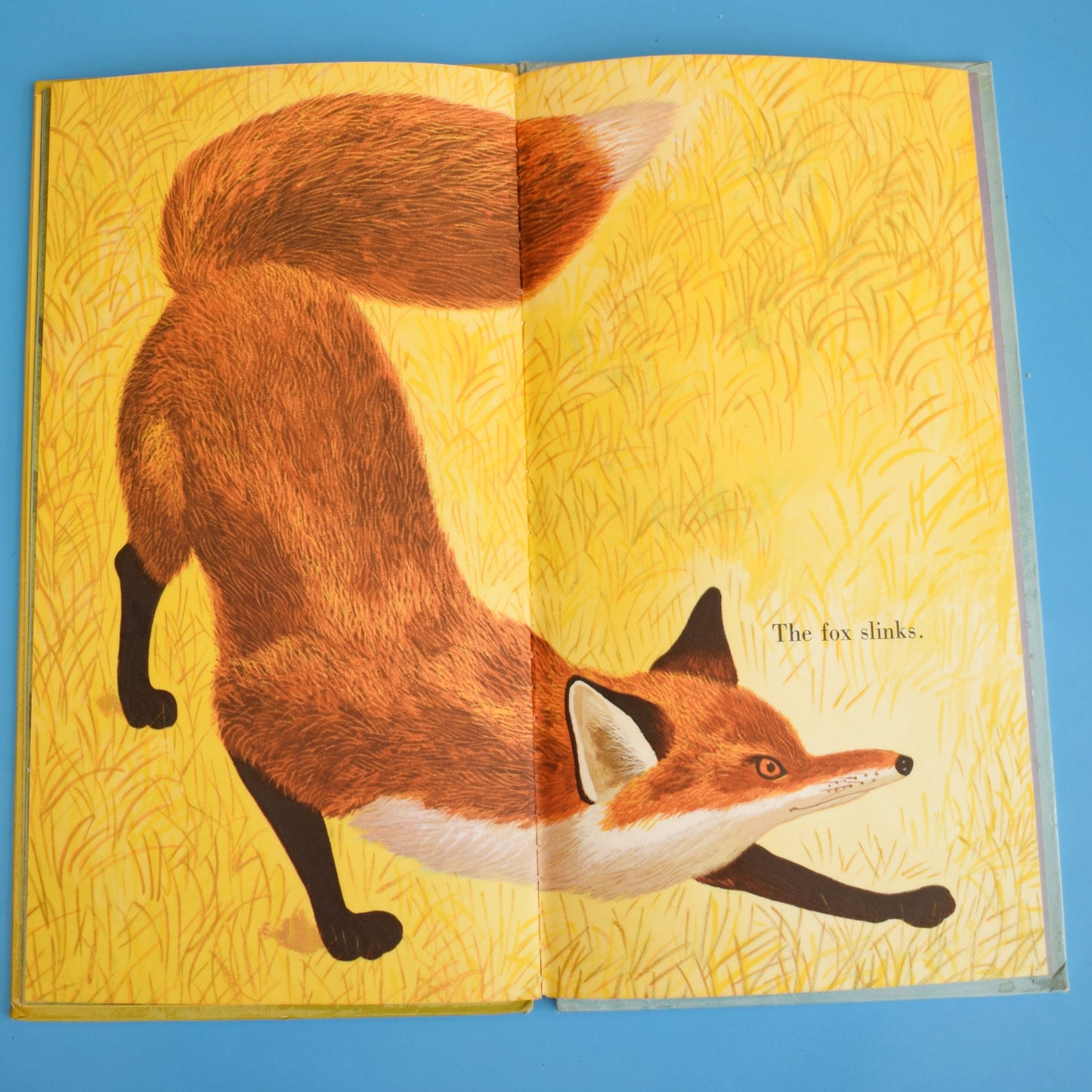 Vintage 1960s Book - Words / Animals - Fab Illustrations by Pineapple Retro