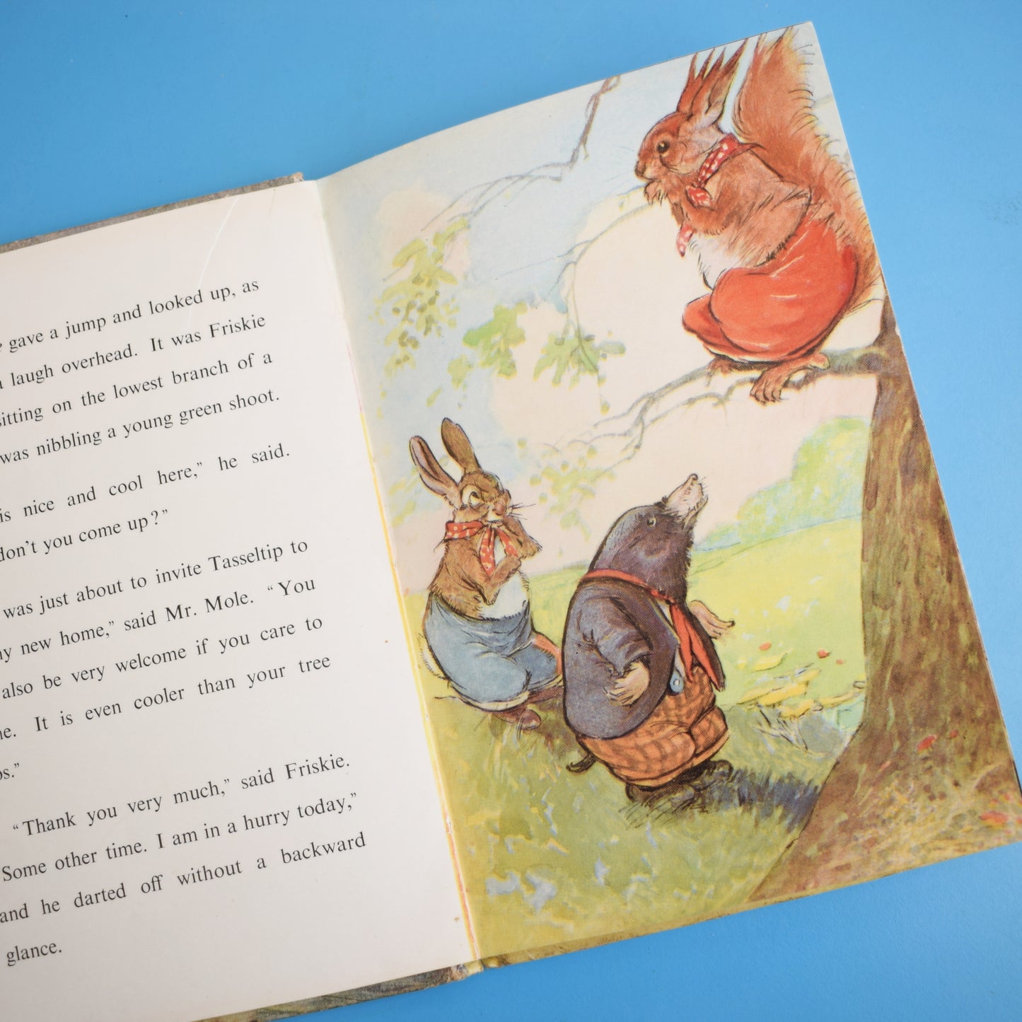 Vintage 1950s Ladybird Book - Mr Mole House Warming