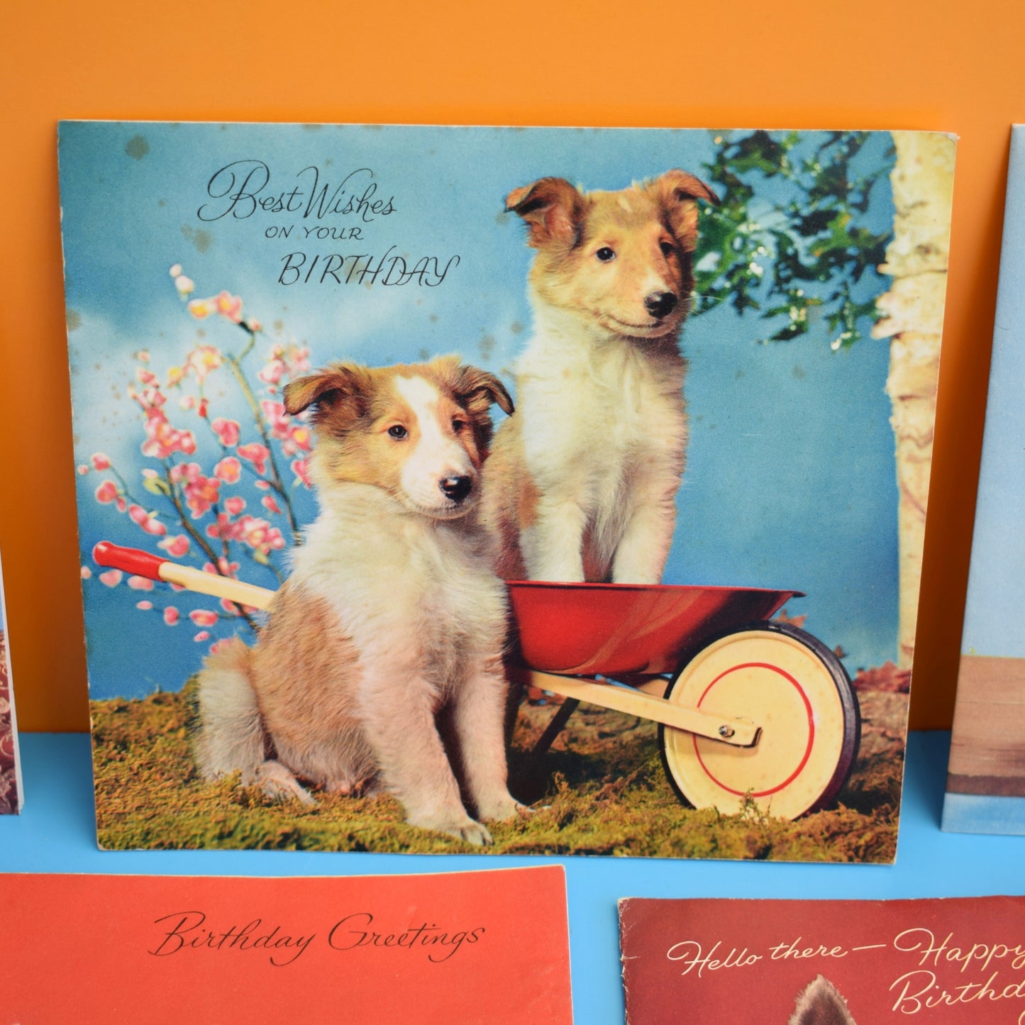 Vintage 1950s Used Greeting Cards - x13 by Pineapple Retro