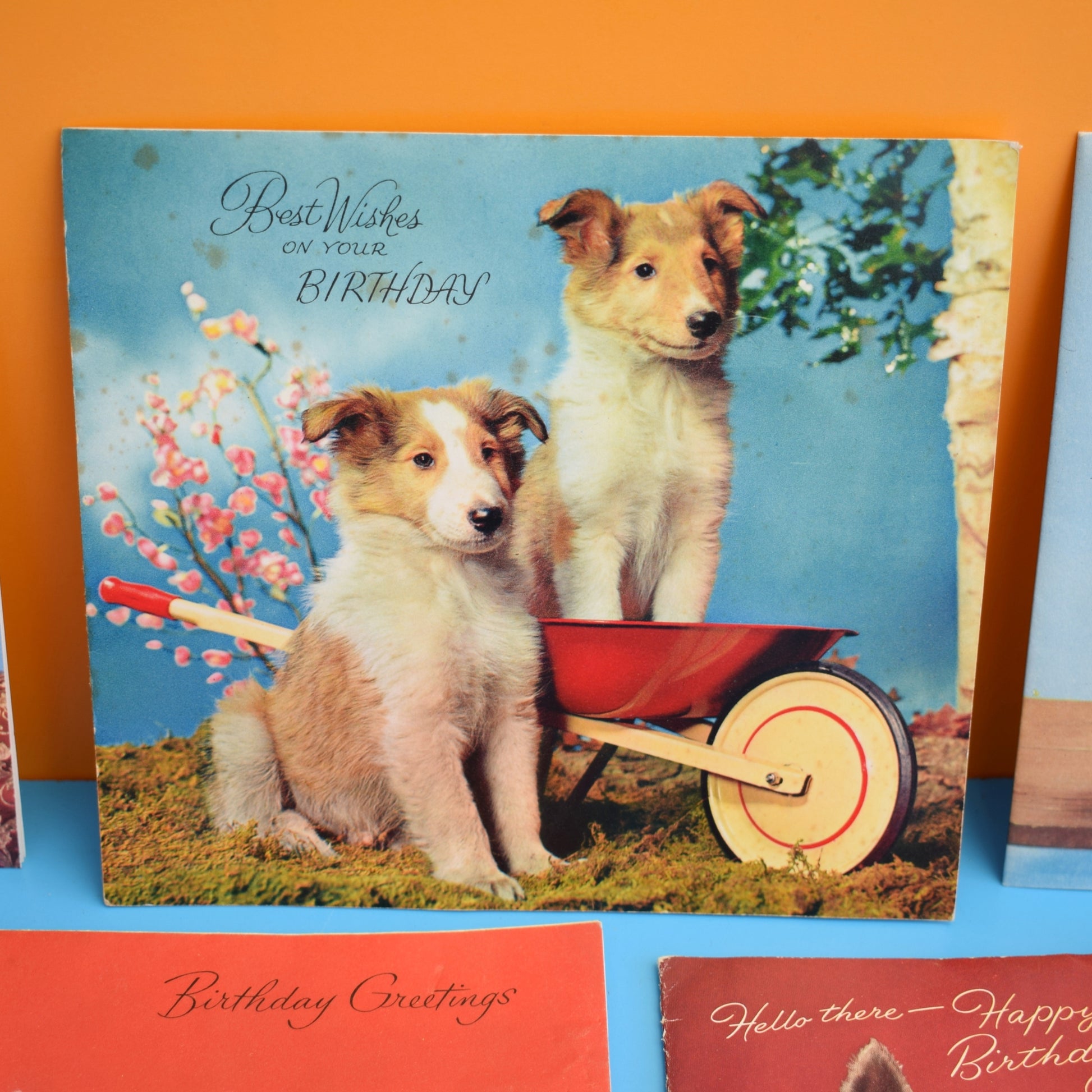 Vintage 1950s Used Greeting Cards - x13 by Pineapple Retro