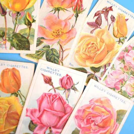 Vintage 1920s Wills's Cigarette Cards- Roses - Full Set by Pineapple Retro