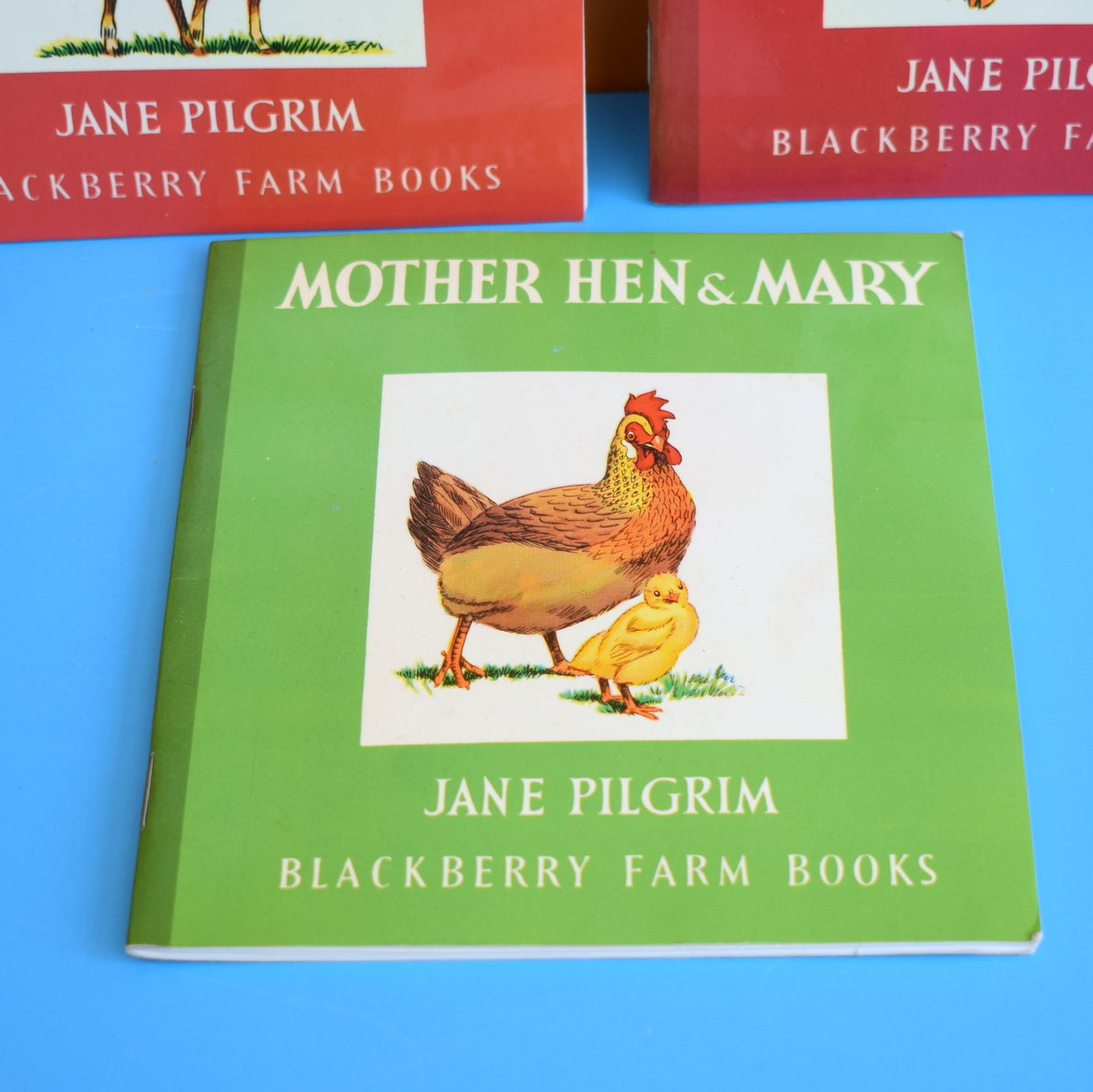 Vintage 1980s Blackberry Farm Books x5 Jane Pilgrim