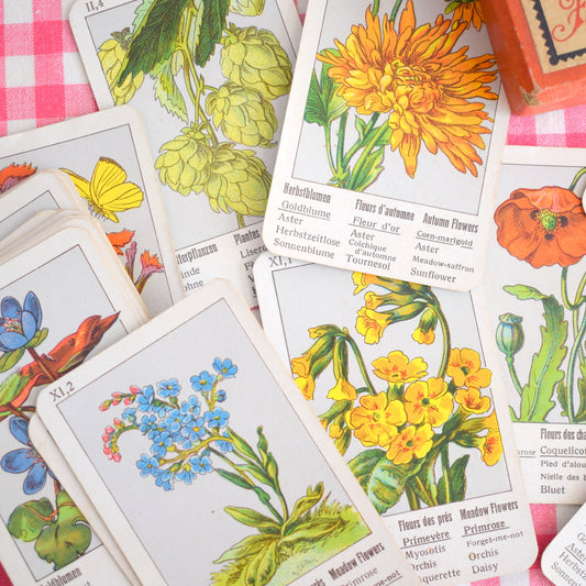 Vintage 1940s Flower Quartet Card Game - Fantastic Images by Vintage
