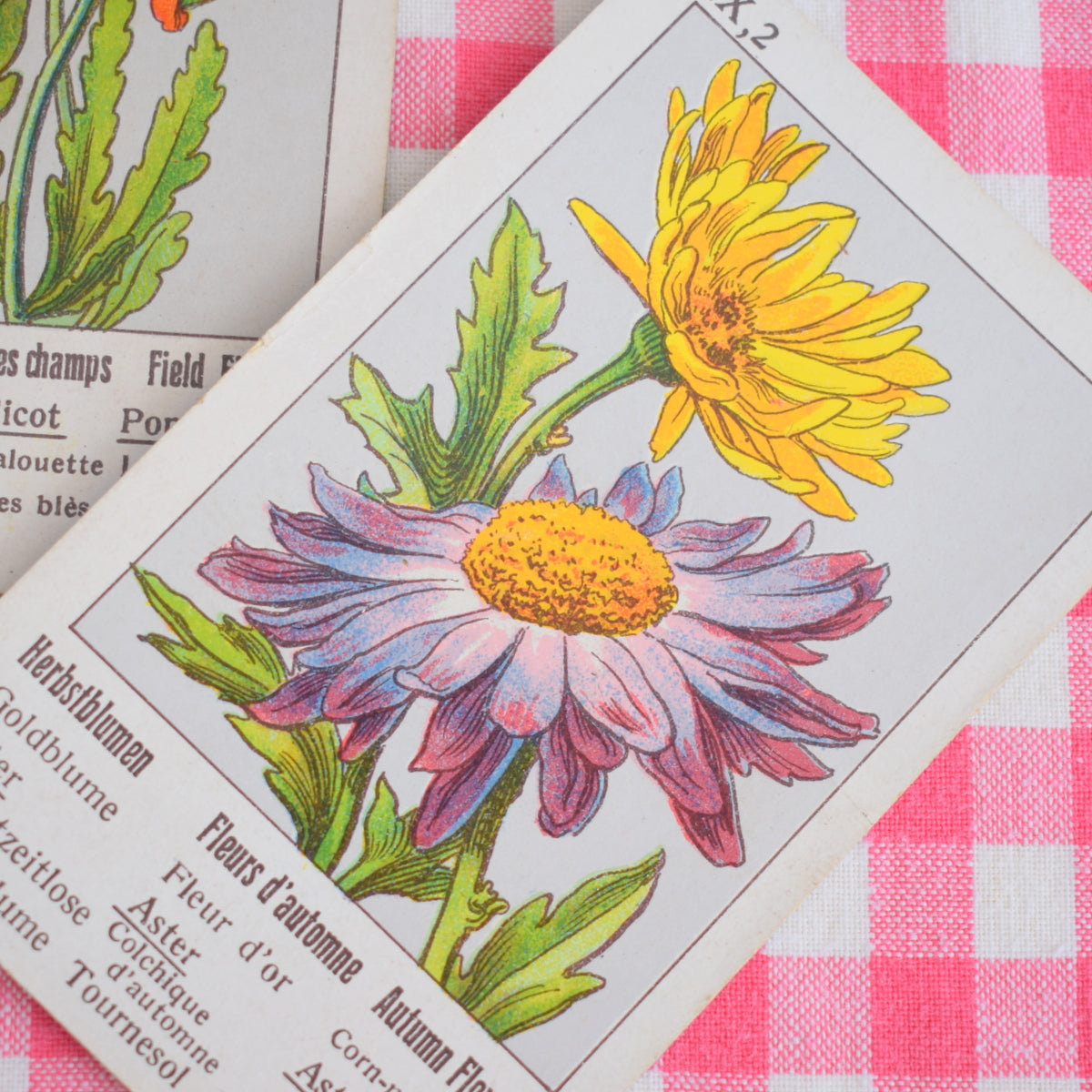 Vintage 1940s Flower Quartet Card Game - Fantastic Images