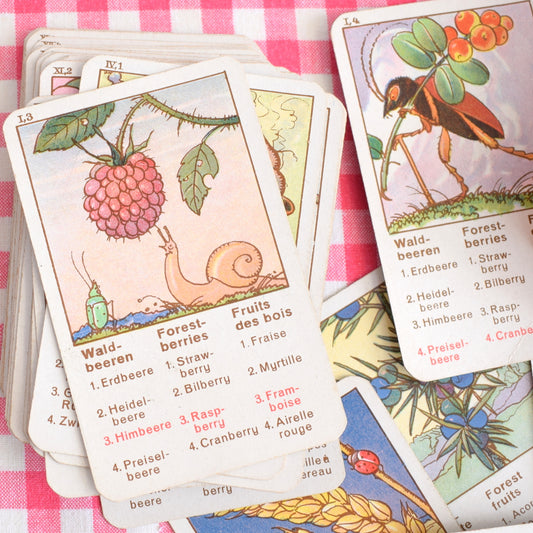Vintage 1940s Fruit Quartet Card Game - Fantastic Images