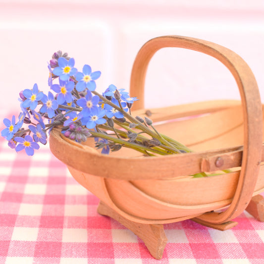 Vintage Mini / Tiny Sussex Trug by Pineapple Retro