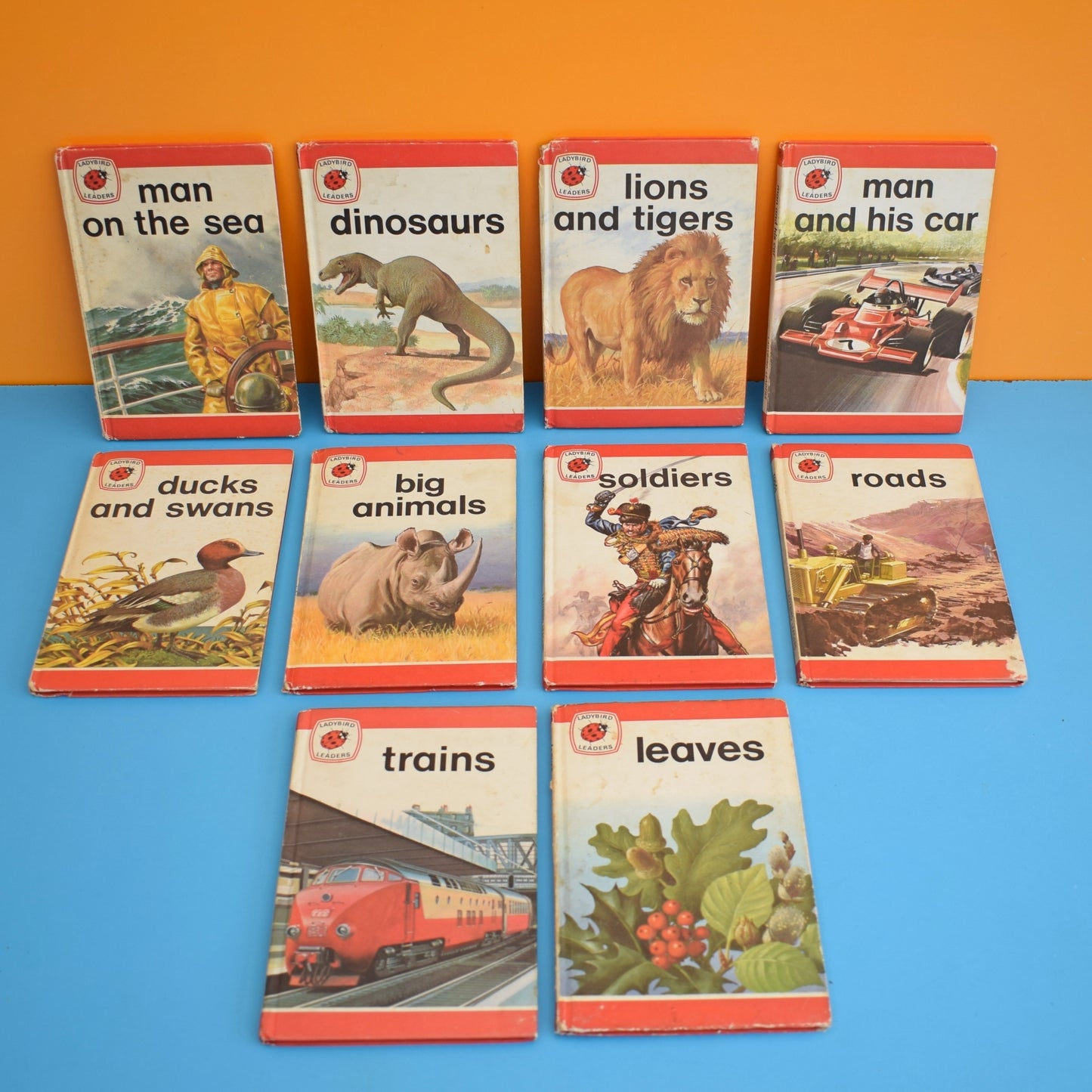 Vintage Ladybird Leaders Books x10