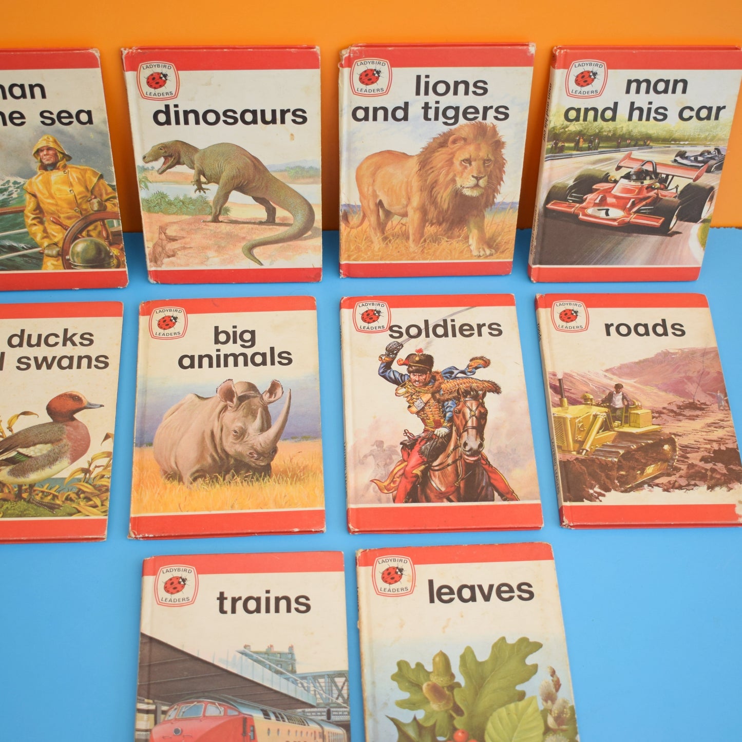 Vintage Ladybird Leaders Books x10