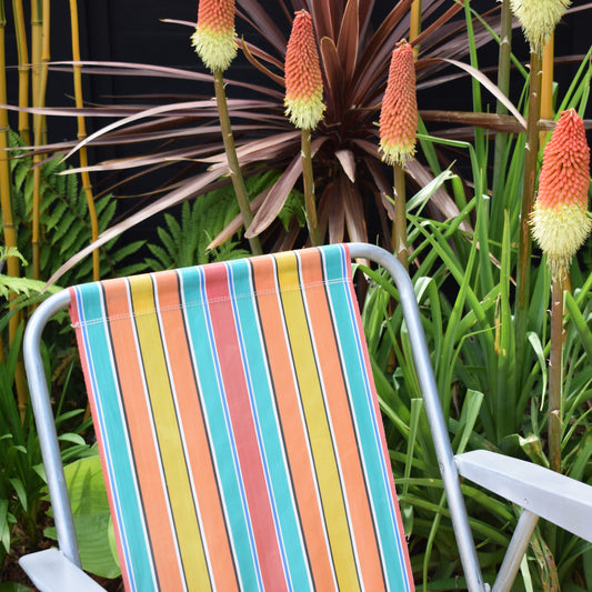 Vintage 1960s Folding Garden Chairs -Rainbow by Vintage