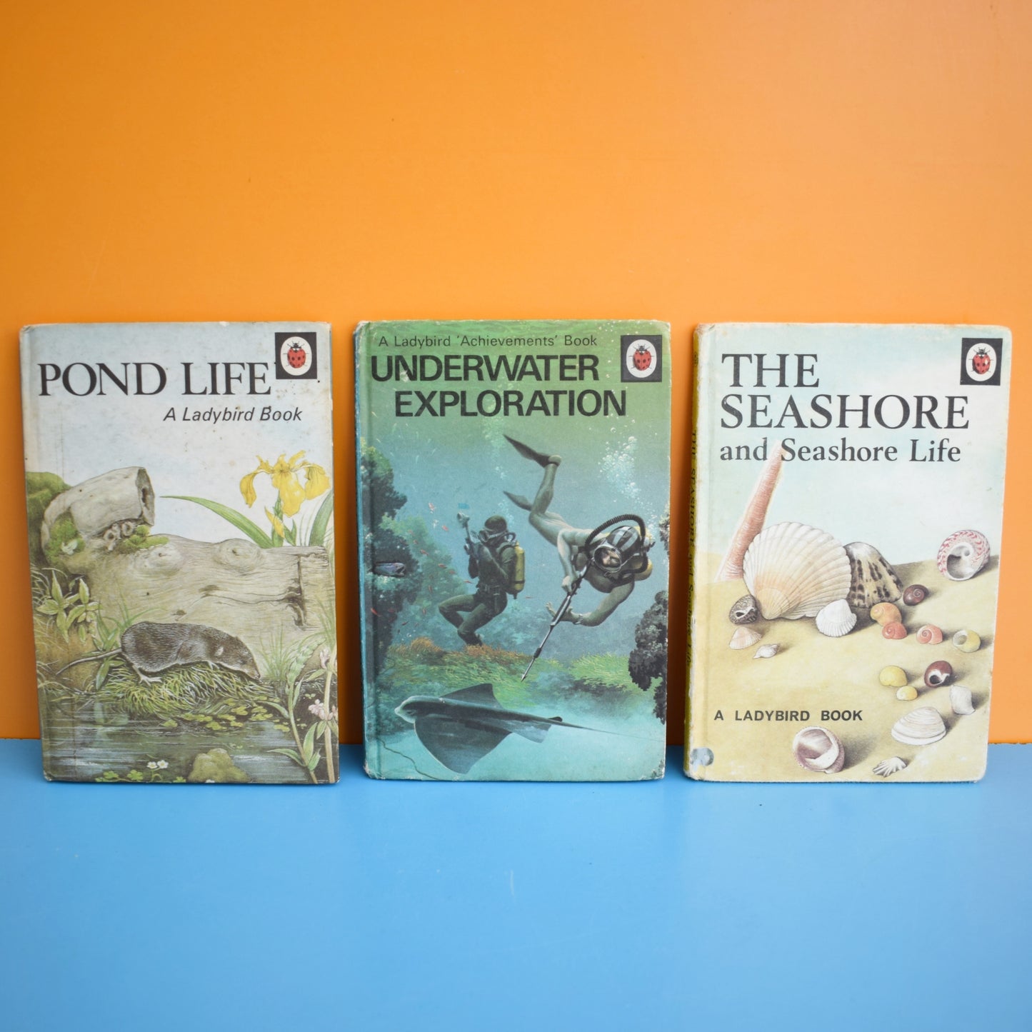 Vintage Ladybird Books - Pond / Sea by Pineapple Retro