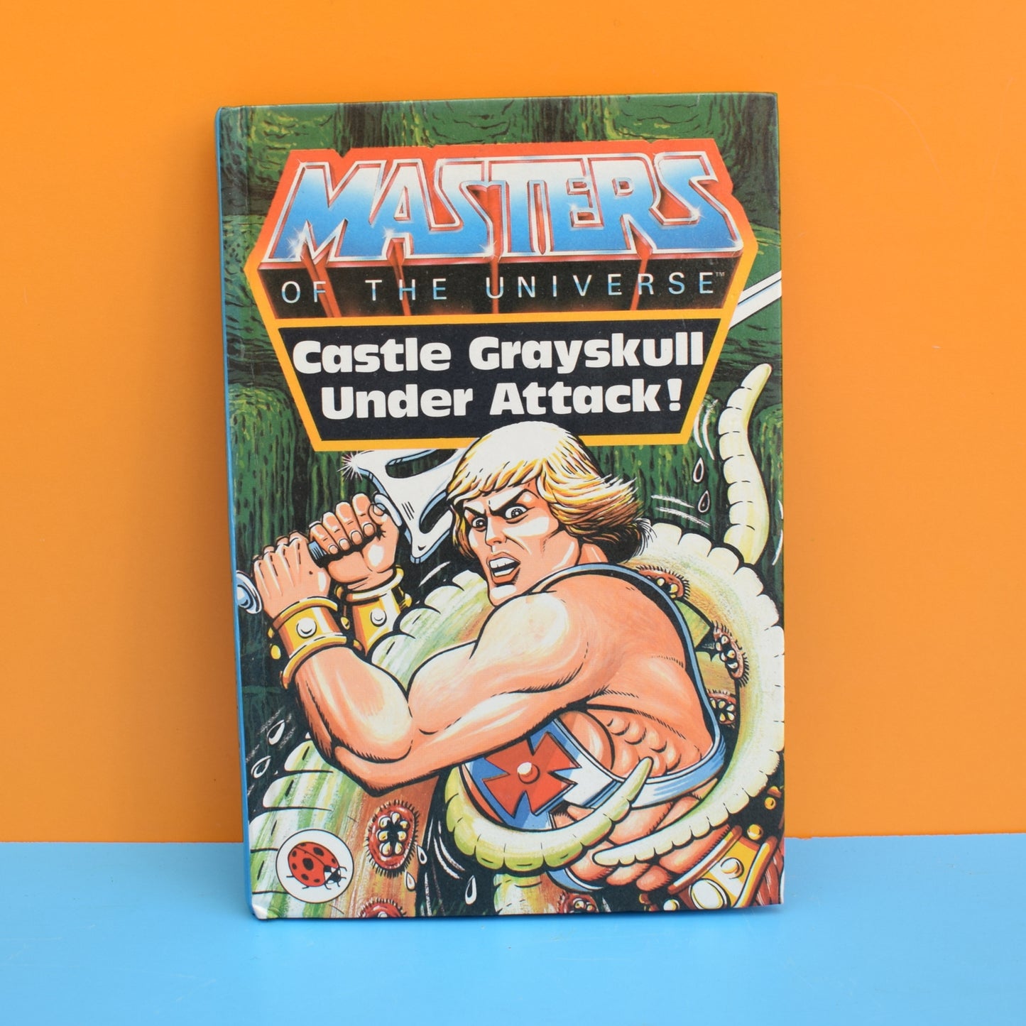 Vintage Ladybird Book - Masters Of The Universe