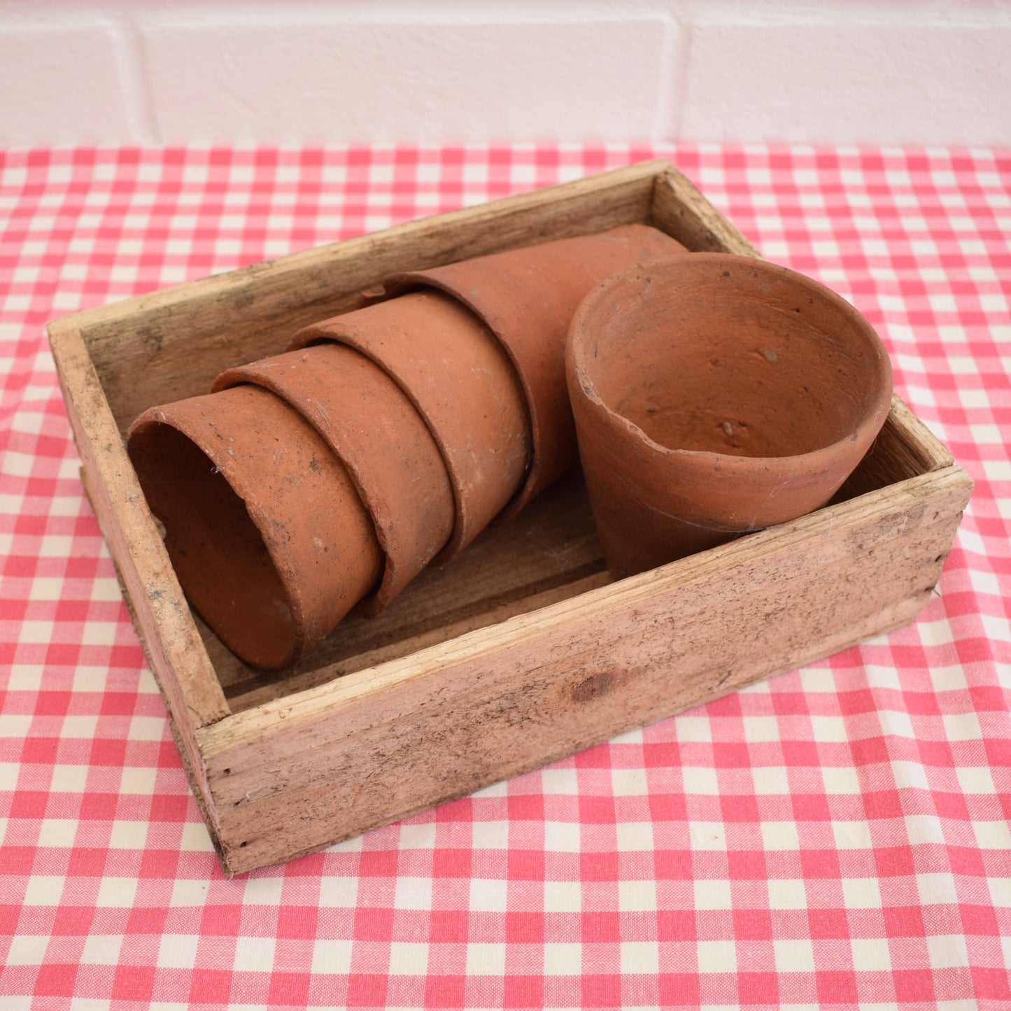Vintage Small Terracotta Pots In Wooden Seed Tray