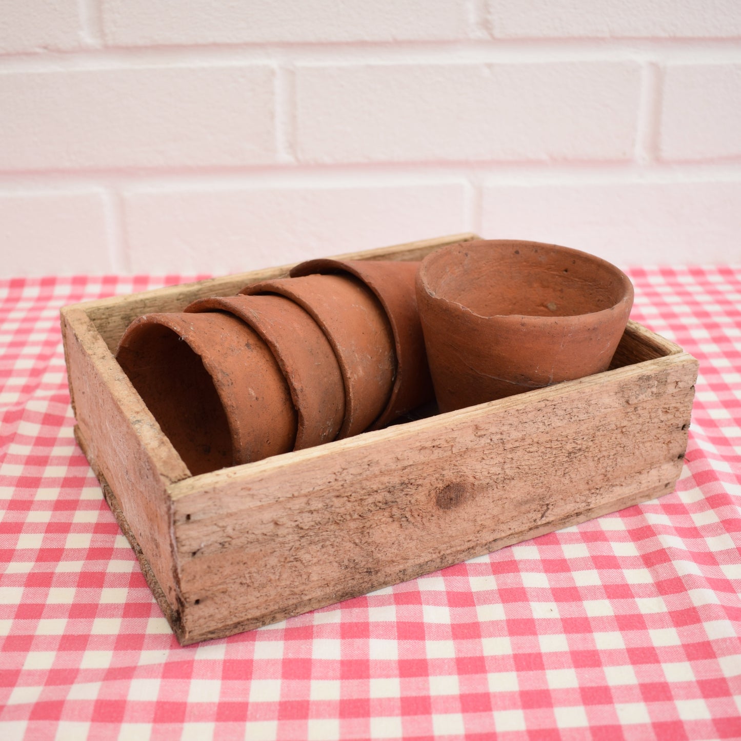 Vintage Small Terracotta Pots In Wooden Seed Tray