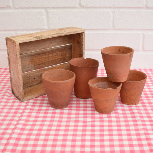 Vintage Small Terracotta Pots In Wooden Seed Tray by Pineapple Retro
