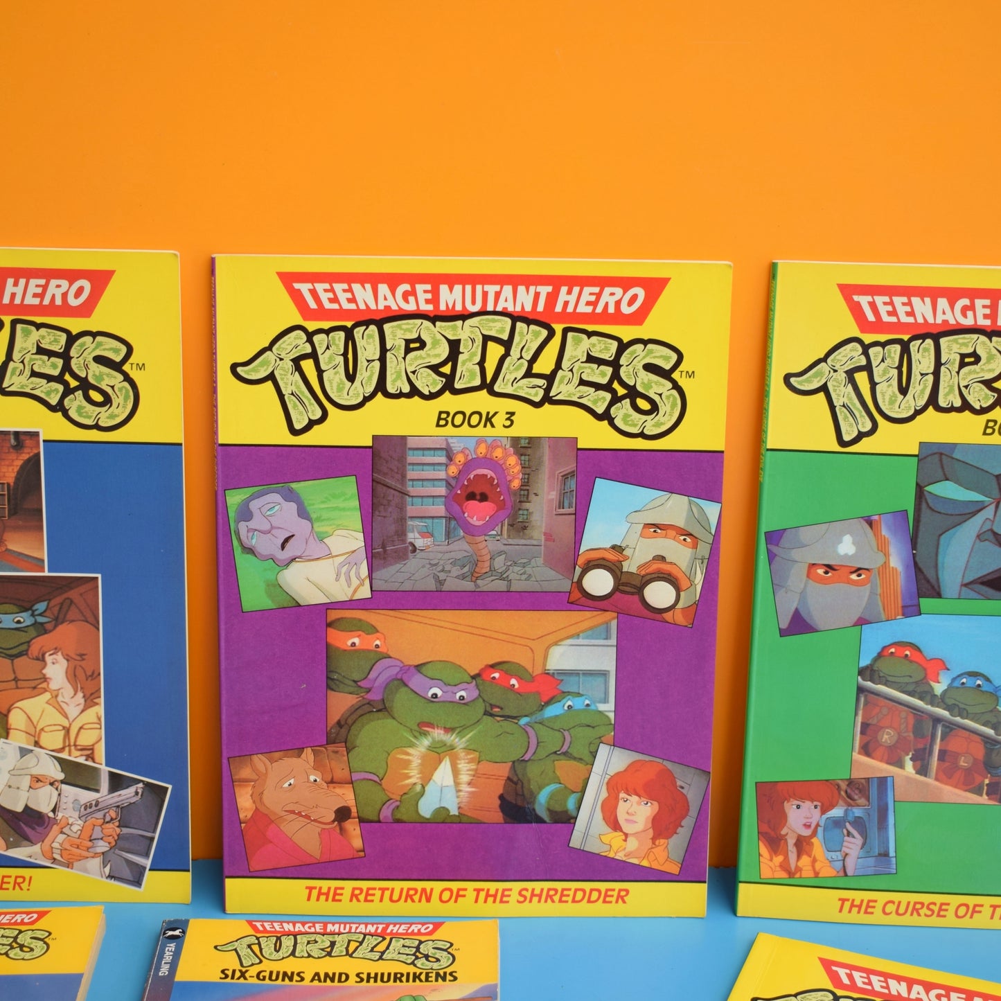 Vintage 1990s Teenage Mutant Turtle Books