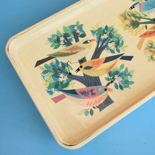 Vintage 1960s Cadbury's Biscuit Tin - Birds .