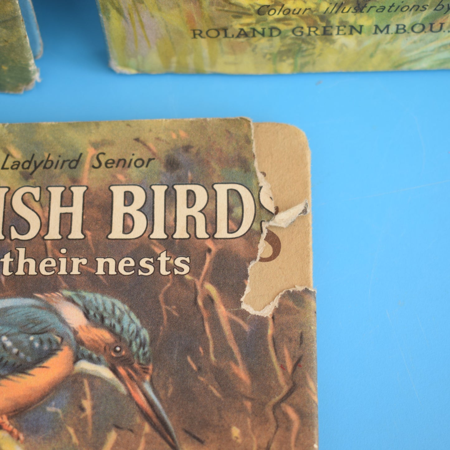 Vintage Ladybird Book - Birds - Early x3