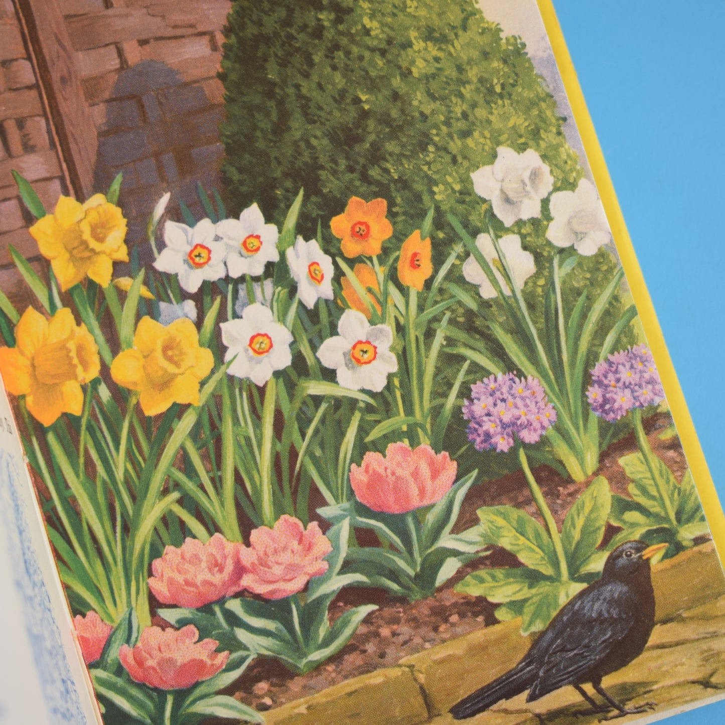 Vintage Ladybird Books - Nature Themed x3