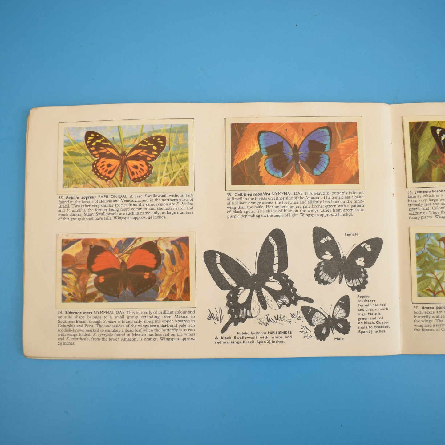Vintage 1960s Tea Card Collections- Butterflies / Flowers