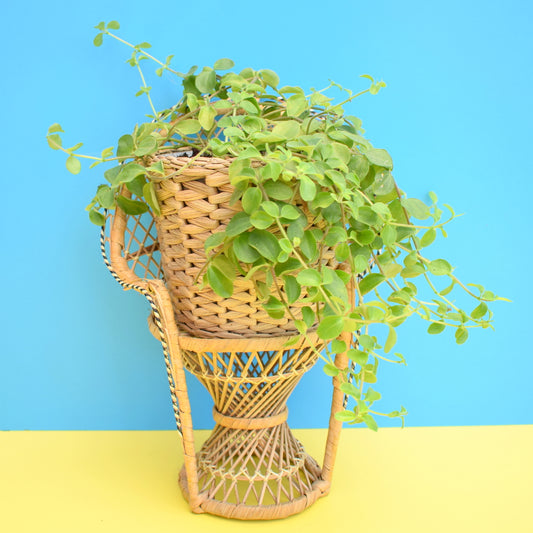 Vintage 1970s Mini Wicker Peacock Chair / Plant Stand - Natural