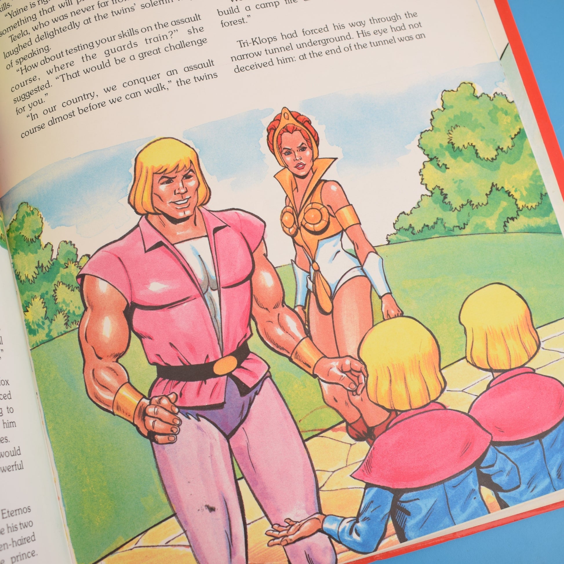 Vintage 1980s He-Man Masters Of the Universe Book by Pineapple Retro