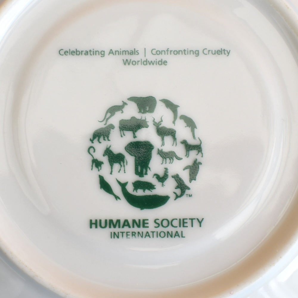 Vintage Kitsch Kitten Cup & Saucer - Humane Society