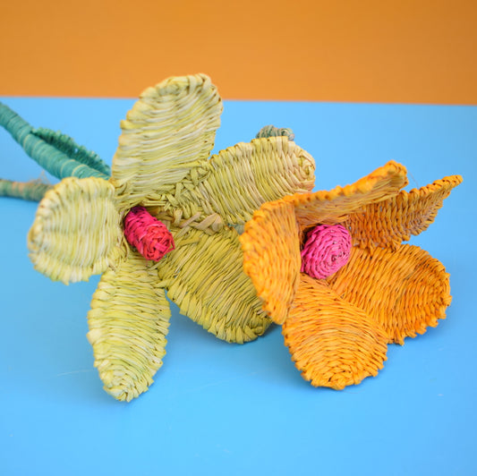Vintage Sea Grass Flowers - Orange, Yellow / Pink