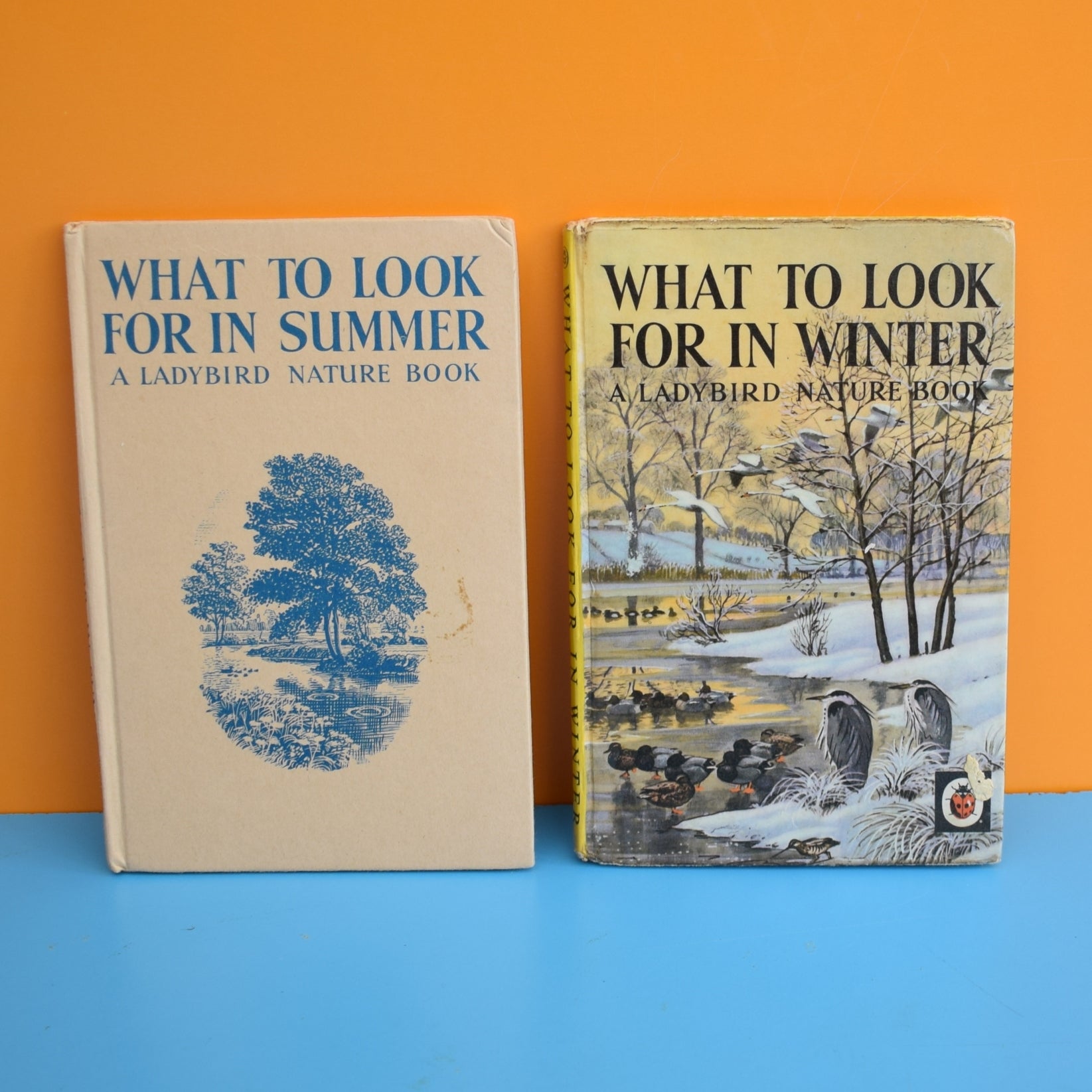 Vintage Ladybird Books - What To Look For In Summer / Winter ...