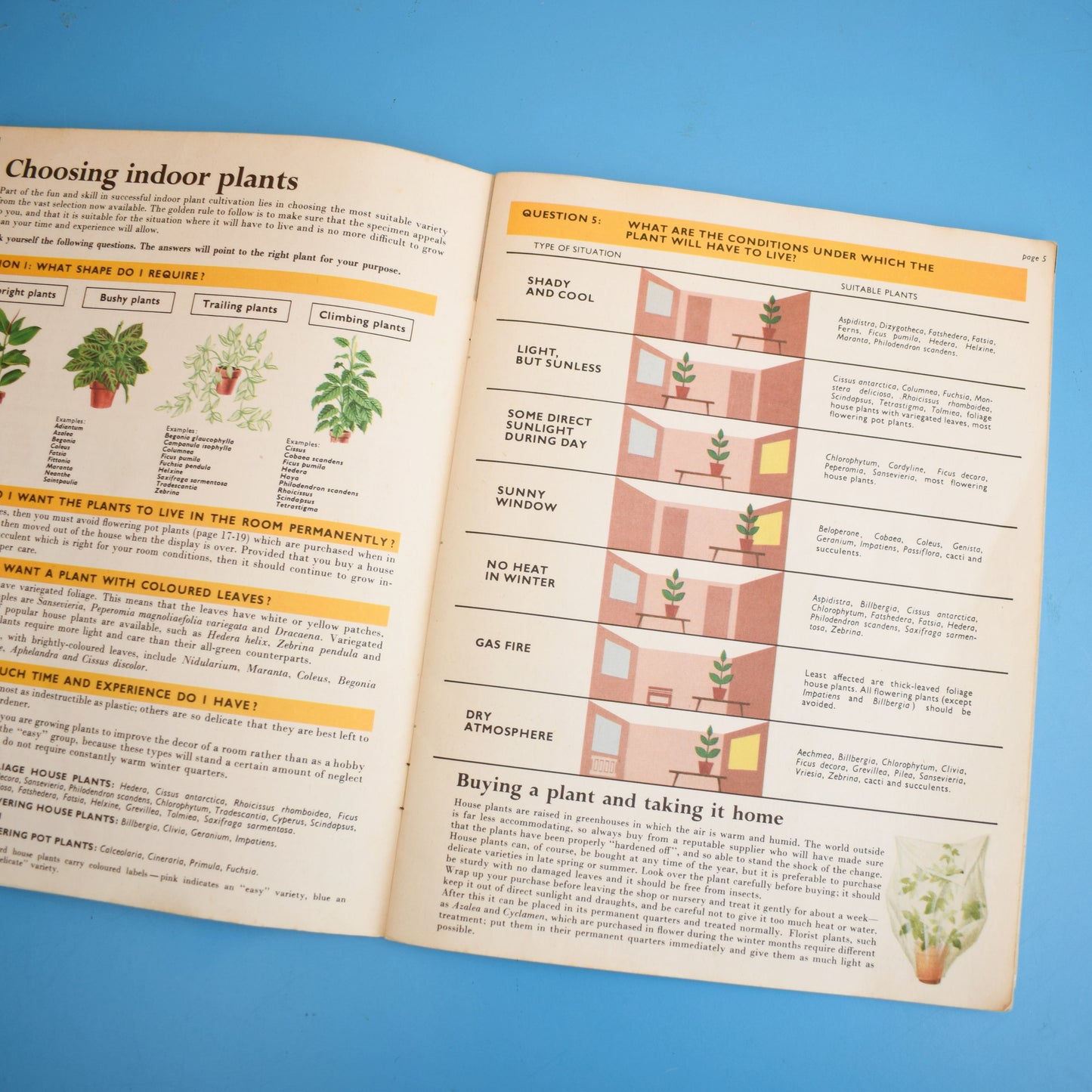 Vintage 1970s Be Your Own House Plant Expert Book