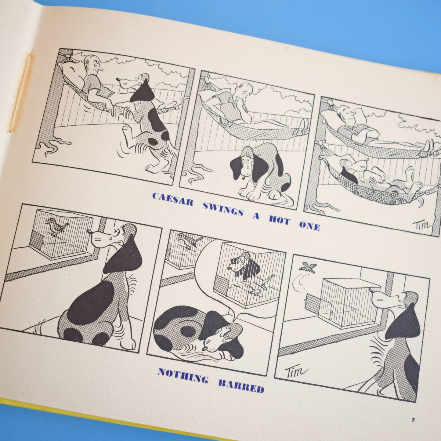 Vintage 1960s Caesar Dog Book - Lovely Illustrations