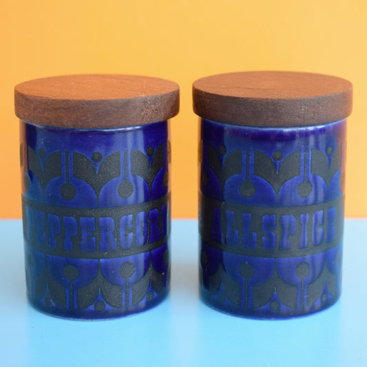 Vintage 1960s Spice Jars - Hornsea Heirloom - Blue